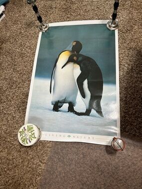 Living Nature Emperor Penguin Poster - Teal, White, Black